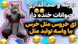 دادگاه خانواده دوبله و صداگذاری حیوانات خنده دار 