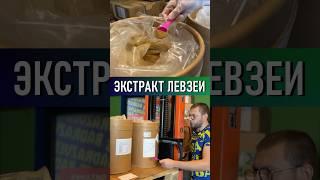 Экстракт левзеи. Маралий корень левзея для спортсменов сафлоровидная. Экдистерон #левзея #badrazves
