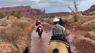 Moab Horses Part 2