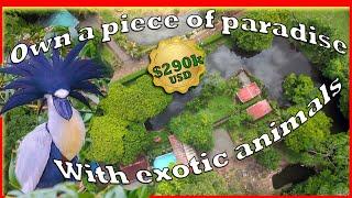 $400k house/ pond for sale in Costa Rica, exotic rare birds,  near la Fortuna -Arenal volcano -lake