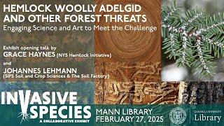 Haynes & Lehmann, HWA, Science and Art