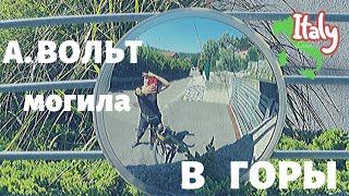 ️ Могила Алессандро ВОЛЬТА / ЛЕБЕДИ, люди, УТКИ и собаки в озере КОМО  ️