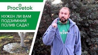 Что такое ВЛАГОЗАРЯДНЫЙ ПОЛИВ? Нужен ли вам влагозарядный полив?