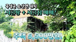 [전남주택매매] 매물번호#57 시골집 시골땅 매매! 곡성군 오산면 주택 매매