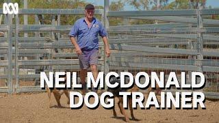 World-class dog trainer Neil McDonald | Muster Dogs