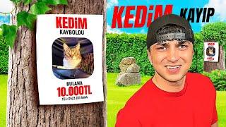 KEDİM KAYBOLDU | BULANA 10.000 TL