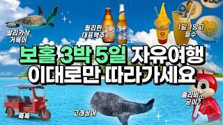 보홀 자유여행 3박 5일 일정 완벽 가이드ㅣ7분만에 보홀여행 마스터하기