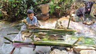 Primitive fish trap - Orphan boy Nam uses bamboo to make a trap to catch fish to sell