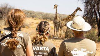 Volunteer at The Namibia Wildlife Sanctuary |  The Great Projects