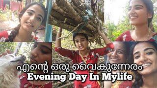 എന്റെ ഒരു വൈകുന്നേരം /Evening in my life/Aleena's Diaries