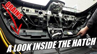 Inside The Leaking Hatch | 2022-2024 Civic Hatchback