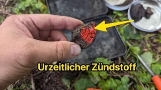 Kohlen-Kugelpilz: Uraltes Feuerwerkzeug der Wildnis (King Alfred’s cake / Cramp Balls)