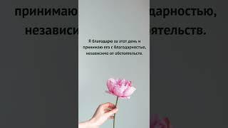 УТРЕННИЕ АФФИРМАЦИИ БЛАГОДАРНОСТИ | МОЩНЫЙ НАСТРОЙ НА УСПЕХ, БОГАТСТВО И ГАРМОНИЮ