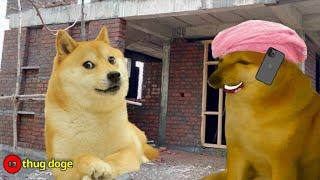 20 hazar me ghar bna doge?? - thug doge