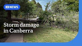 How much damage was done by thunderstorms in Canberra overnight? | ABC News