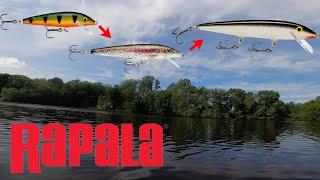 Rapala Original Floating Minnow Fishing Challenge! (S, M, L)