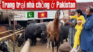 Về thăm lại trang trại nhà ông bà nội Lấy chồng Pakistan 