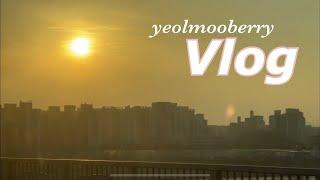 VLOG | 육아브이로그 | 엄마아빠 (할미할비) 와 함께 10일 | 엄마음식특집 | 발뮤다 토스터기 언박싱 | 이케아 | 이마트트레이더스 | 노쉬 호두강정