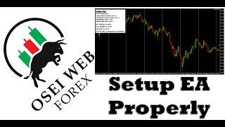 How To Setup EA (Expert Advisor, Robot, Trading Bot) Properly