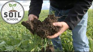 Soil School: What makes a healthy soil?