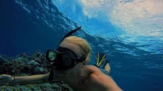 freediving in the Pacific