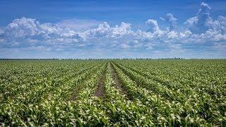 Botswana's Food Basket Pandamatenge Farms