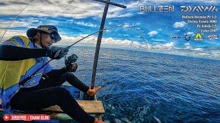 FULL SPEED ‼️ BLACK GIANT TREVALLLY PENGHUNI PULAU SANGALAKI | BERAU