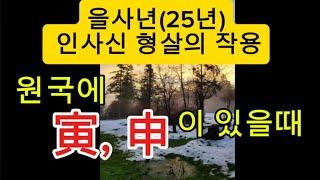 을사년(25년)인사신 형 합의 작용 개운