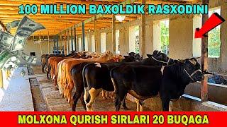 MOLXONA QURISH SIRLARI 20 TA BUQA BOQISH UCHUN