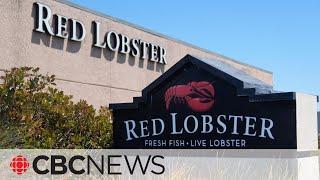 Red Lobster asking for bankruptcy protection in Ontario court