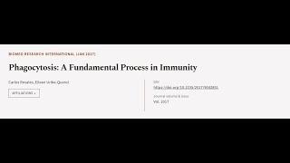 Phagocytosis: A Fundamental Process in Immunity | RTCL.TV