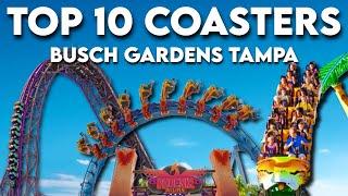 Top 10 Roller Coasters at Busch Gardens Tampa Bay (2024)