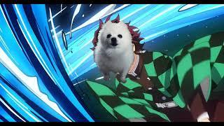 Gabe the Dog- Gurenge