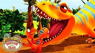 Dinosaur Teeth! | LEARN | Dinosaur Train