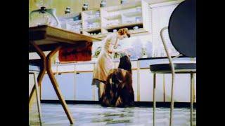 Room for Hygiene, a Unilever Health Information Film from 1961, 1960s  F1003