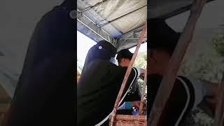 Mukbang brutal penjual panik #shorts #prankmukbang #viral #alwan17