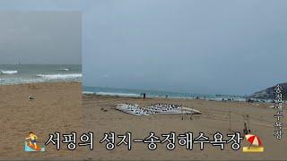 ‍️서핑의 성지- #송정해수욕장️