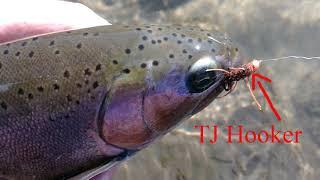 TJ Hooker Jig Stonefly-Streamer Combo Fly Pattern | YCFF