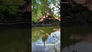 Sanctuary of truth part 3# Thailand #heritage #wooden architecture #culture #history