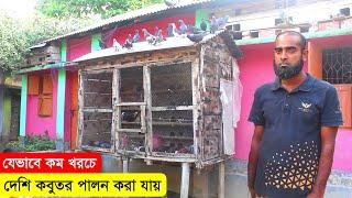 কিভাবে কম খরচে দেশি কবুতর পালন করে বাড়তি আয় করছেন রিপন ভাই | কবুতর পালন পদ্ধতি | Deshi Kobutor Palon