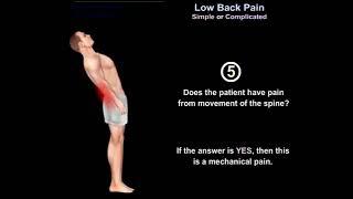 Low Back Pain: Simple or Complicated? Understanding the Key Differences