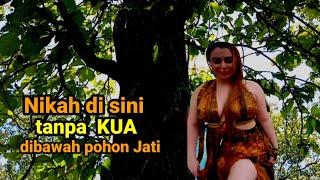 PENGHULU JATI NAIB,Tata cara unik Ijab Qobul dalam hutan Jati pengantin Kuno pedalaman Bojonegoro.