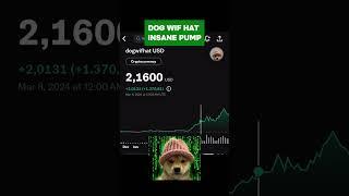 Doge Wif Hat Insane Pump