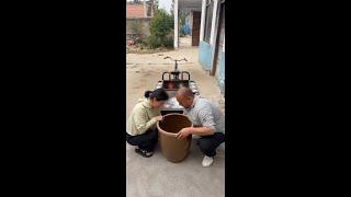 #Quick Growth Plan #Shadow Play Future Star #Rural Life #Funny Jokes #Funny Videos