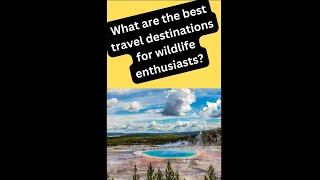 What are the best travel destinations for wildlife enthusiasts?