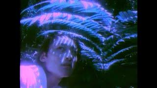 荒木真樹彦「1999」ミュージックビデオ Makihiko Araki "1999"