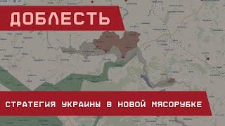 Доблесть. Стратегия Украины в новой мясорубке