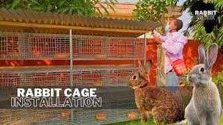 Modern Rabbit Cage Installation at Home