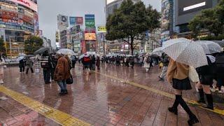 前半【高画質FHDお散歩ライブカメラ】雪の渋谷　散歩　Shibuya in the snow walking【live camera】2025/03/04