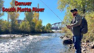 Fishing Denver's South Platte River (Smallmouth, Walleye, and Trout)